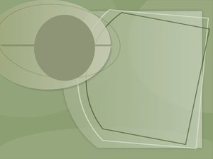 电商平台商家商品描述真实性验证